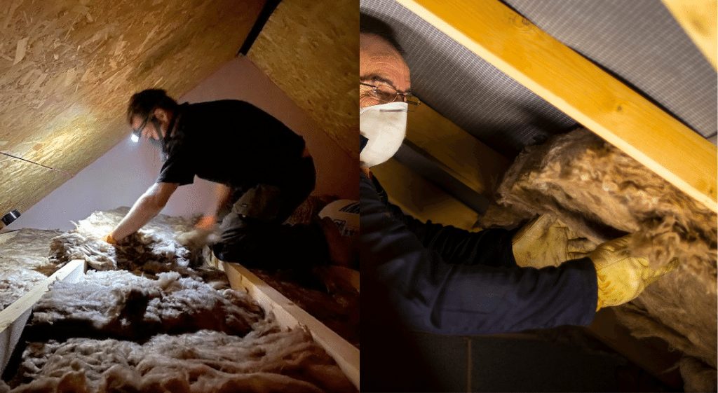 Two construction workers fitting wool insulation to loft joists and rafters. One of the workers is undergoing an observation for his loft insulation NVQ